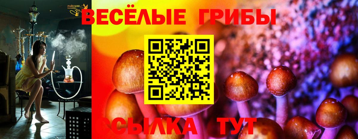 где купить наркоту  Вход с VPN  Ейск  Галлюциногенные грибы Magic Shrooms 