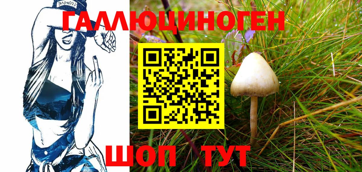 Галлюциногенные грибы GOLDEN TEACHER Ейск